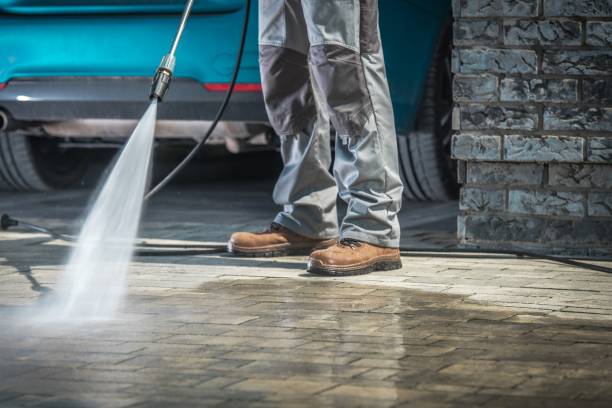 Best Dumpster Area Cleaning  in Altamonte Springs, FL